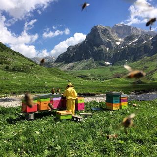 Immagine di repertorio