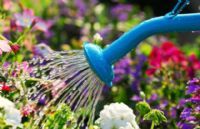 Divieto d'irrigazione di orti e giardini a Ceresole d'Alba