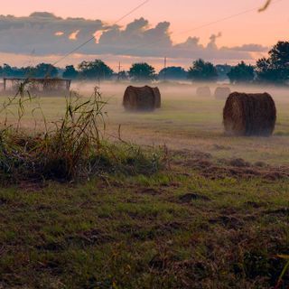 A Cherasco il convegno sul progetto "Fieno Solidale" della condotta Slow Food Bra