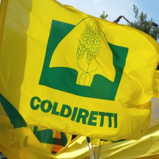 Coldiretti Piemonte, biologico: con +122% vendite in 10 anni nasce associazione Coldiretti Bio