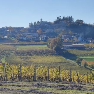 Giovani Frequenze propone “Quel Festival” con eventi itineranti