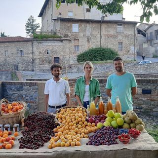 1ª Sagra dell’Albicocca Tonda di Costigliole Saluzzo, sabato 9 e domenica 10 luglio 2022