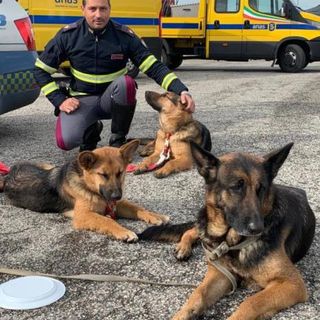 "Se non ti porto non parto": il nuovo spot della Polizia di Stato contro l'abbandono di animali [VIDEO]