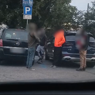 I controlli nelle vigne