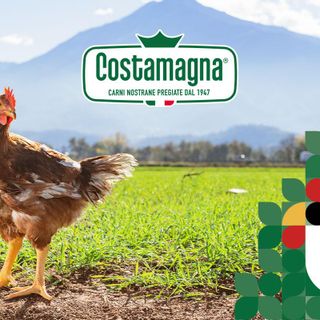 Europoll: la filiera sostenibile per carni bianche sane e saporite