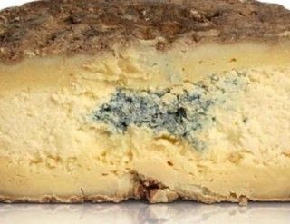 Richiami per Castelmagno Dop a rischio contaminazione da Escherichia Coli