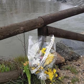 Mimose e fiori per Jasmine Mimose e fiori per Jasmine