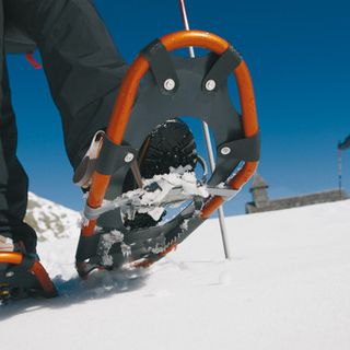 Immagine di repertorio