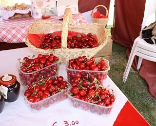 Dal Palio dei Borghi di Fossano alla Fiera della Ciliegia di Dogliani: ecco tutti gli eventi del weekend in provincia di Cuneo