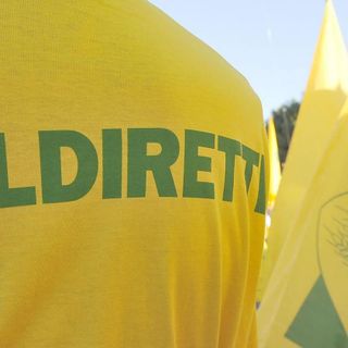 Prezzi, Coldiretti Piemonte: definitivo lo stop a speculazioni sul cibo Prezzi, Coldiretti Piemonte: definitivo lo stop a speculazioni sul cibo