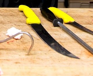 Immagine di repertorio