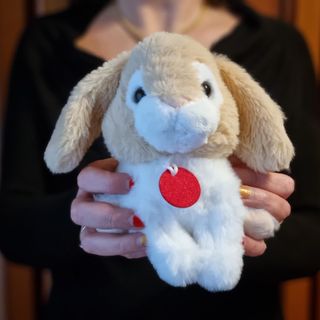 Capodanno Cinese: il 22 gennaio inizia l’anno del coniglio