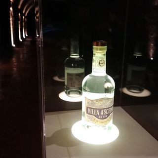 Diageo riparte da "Villa Ascenti": un ritorno ai fasti della gloriosa Cinzano nel futuro dello stabilimento di Santa Vittoria d’Alba Diageo riparte da "Villa Ascenti": un ritorno ai fasti della gloriosa Cinzano nel futuro dello stabilimento di Santa Vittoria d’Alba