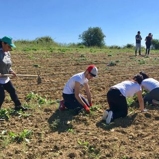 “Agricoltura sociale: un modello innovativo di sostenibilità”