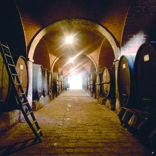 Una guida "enoesperienziale" alle cantine di Langhe, Roero, Monferrato e Terre del Gavi