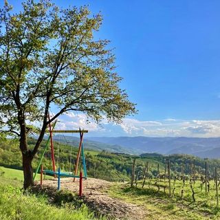 A Cossano Belbo una nuova app per "rintracciare" le panchine giganti