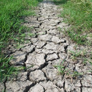 Immagine di repertorio