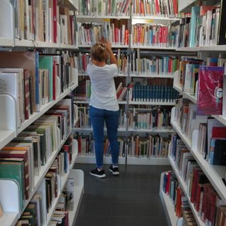 L'interno della biblioteca "Arpino"