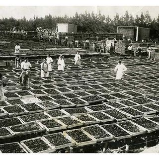 Centinaia di discendenti di emigrati in Argentina alla ricerca degli avi cuneesi