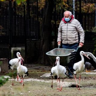 Foto di Filippo Marmo