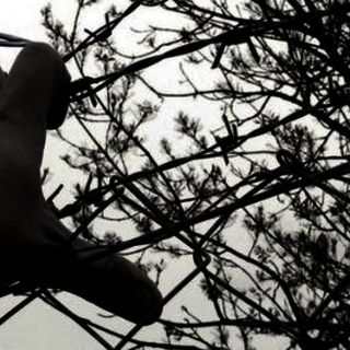 Alba celebra la 76ª Giornata della Memoria