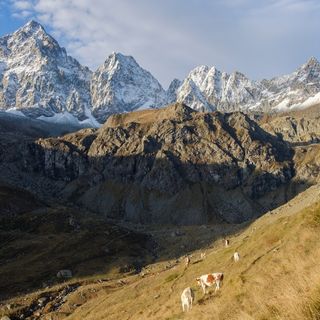 Confesercenti Cuneo è solidale con il mondo della montagna