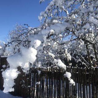 Un po' di neve in pianura e crollo delle temperature, con gelate estese e nebbie