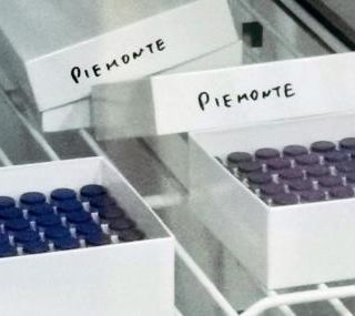 Da lunedì in Piemonte 17.800 dosi del vaccino AstraZeneca: andranno a Forze Armate, Forze dell'Ordine e Polizia Municipale