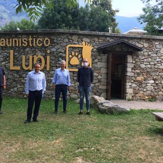 Dago e Gagliasso (Lega): “Un piano regionale per aiutare i piccoli allevatori dalle azioni predatorie del lupo”