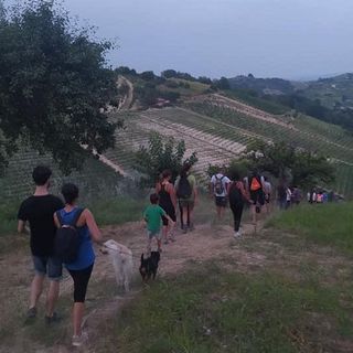 Roberto Vecchioni, ospite della rassegna Roberto Vecchioni, ospite della rassegna