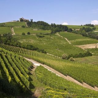 In foto