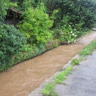 Immagine di repertorio