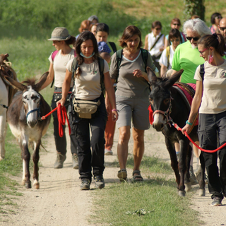 Da Bossolasco a Pietra Ligure a passo d'asino: al via la terza edizione dell'originale camminata