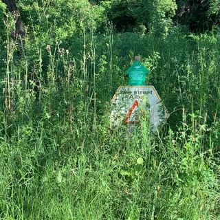 "Quanta incuria al parco di San Cassiano ad Alba"