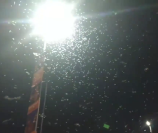 Puntuali, sono tornate: centinaia di migliaia di falene sul ponte sul Tanaro ad Alba (VIDEO)