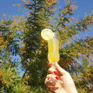 Immagine di repertorio