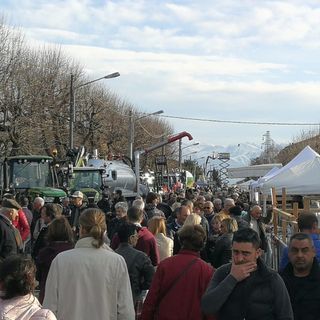 Proposte e idee per trascorrere questa domenica nella Granda Proposte e idee per trascorrere questa domenica nella Granda