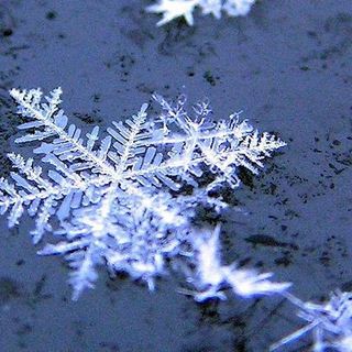 Neve in arrivo su tutta la Granda: previste precipitazioni da intense a moderate, valli Varaita, Stura e Tanaro "sorvegliate speciali"