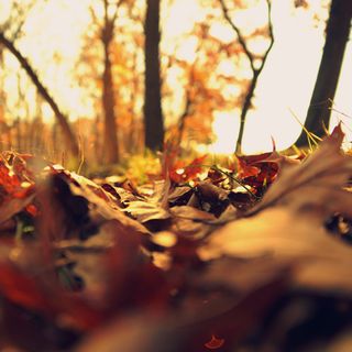 Passaggio perturbato sul Nord Ovest: rinfrescata veloce ma con poche piogge