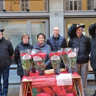 Foto Luciano Cravero