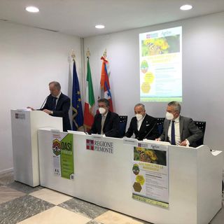 Nasce in Piemonte il primo Comitato Nazionale per la tutela della Biodiversità e dei Pronubi Nasce in Piemonte il primo Comitato Nazionale per la tutela della Biodiversità e dei Pronubi