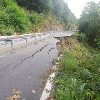 Immagine di repertorio