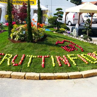 A Lagnasco conto alla rovescia per Fruttinfiore: evento al via il 5 aprile