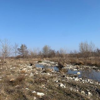 Allarme siccità, Coldiretti Piemonte: "SOS clima senza piogge e neve”