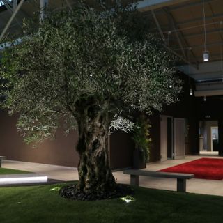 Giubileo approda sulle reti Mediaset