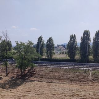 Il comitato No Biometano a Govone propone una raccolta fondi Il comitato No Biometano a Govone propone una raccolta fondi