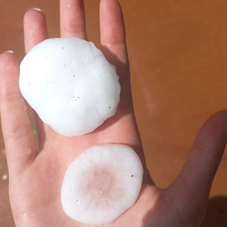 Danni ingenti su Langhe e Roero a causa della grandine: la Regione pronta a chiedere lo stato di calamità