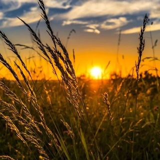 Foto generica Pixabay