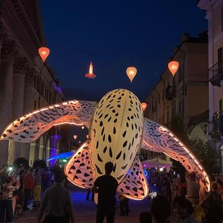 Che spettacolo Cuneo Illuminata in Fior! [FOTO E VIDEO]