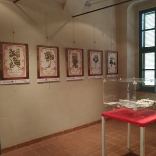 Alcune foto della mostra
